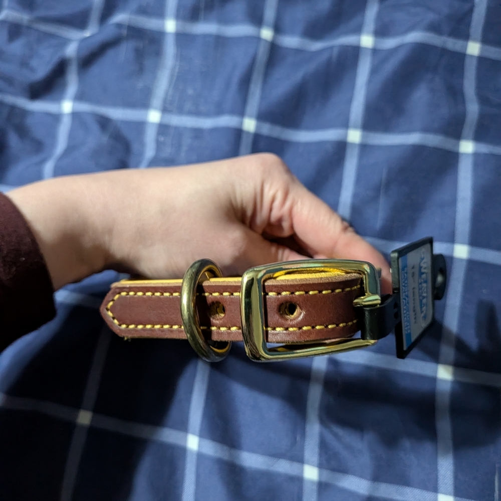 New Leather 15 Inch Dog Collar - Picture 2 of 4